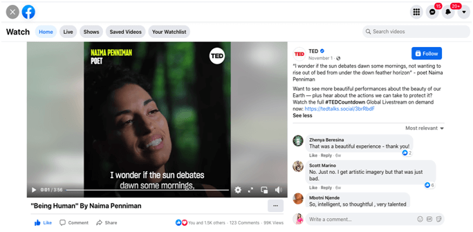 Wonder – The first step to reality